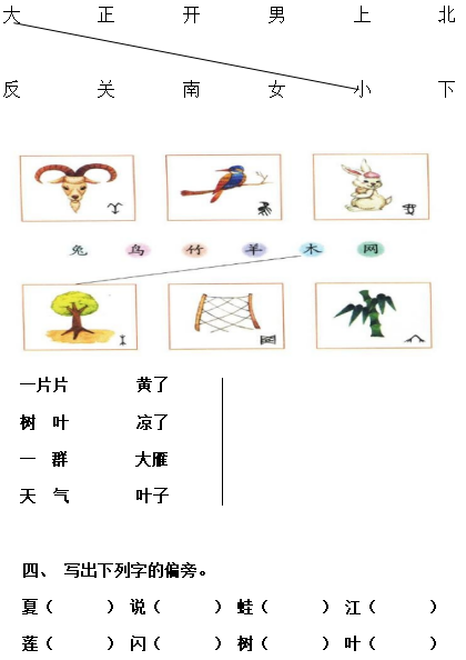 一年级填空题，寻找神秘的小鸟种类