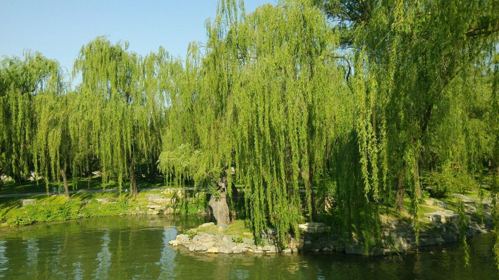 四字风景成语绘成的绝美画卷