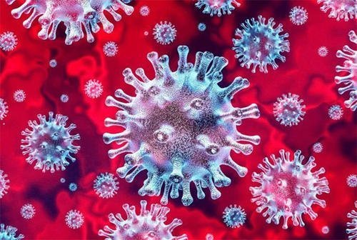 揭秘，2019年疫情背后的病毒类型探究