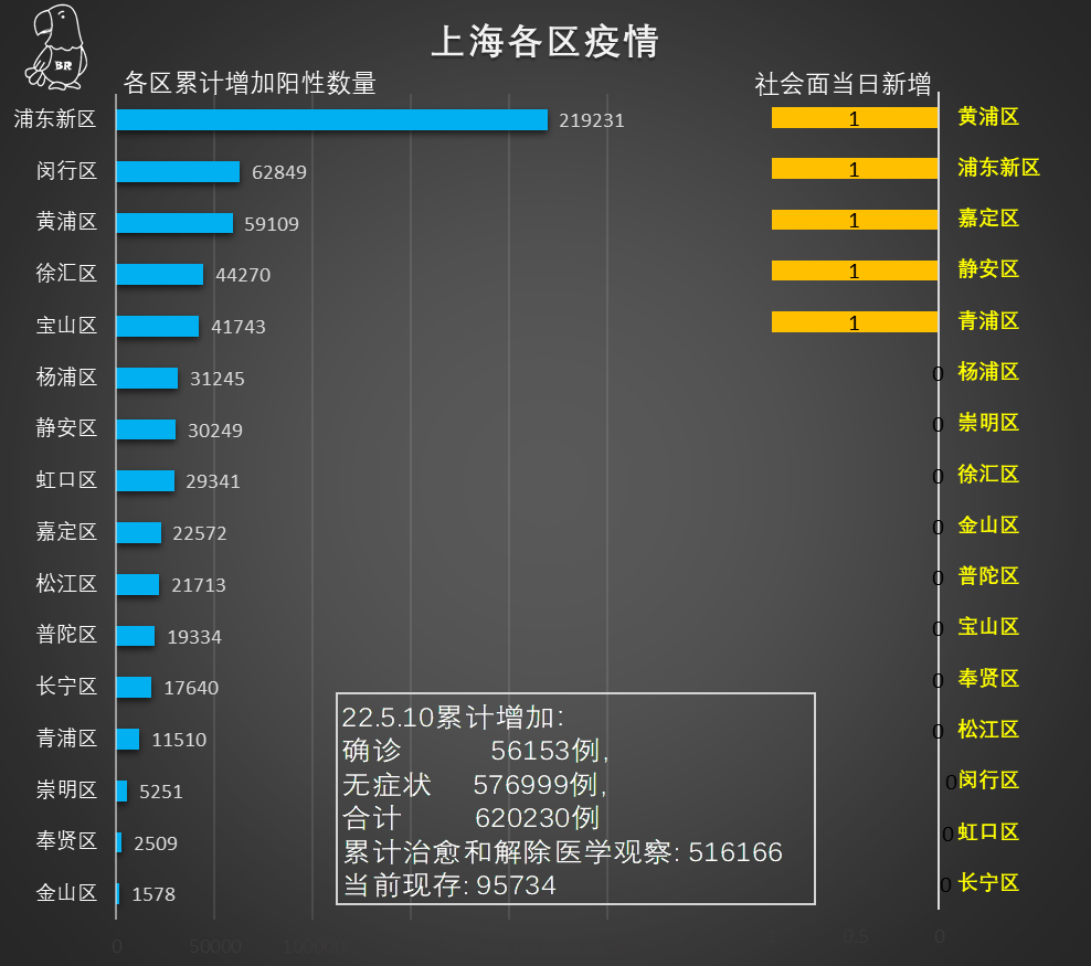 上海疫情严重时期及其影响概述