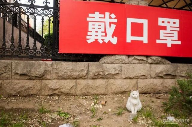 回望2020，北京疫情的时间记忆