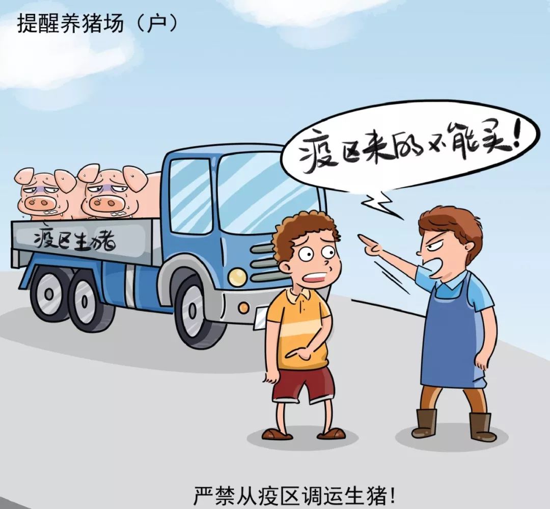 全球疫情悲剧，人类生命损失与反思