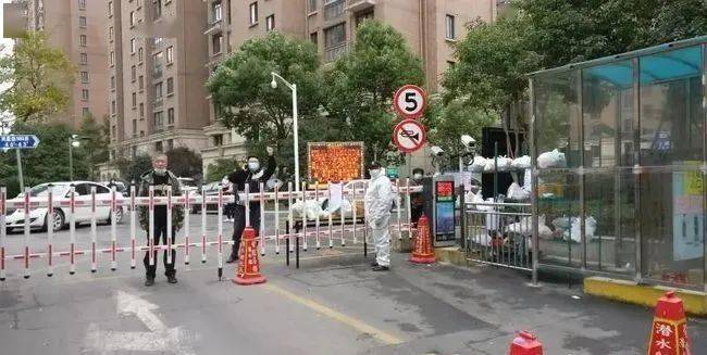 疫情封城真相深度探究