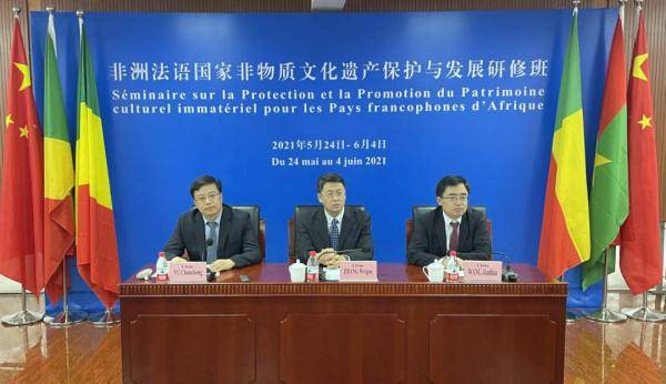 浙江与澳门携手抗疫，共克时艰的投入与决心