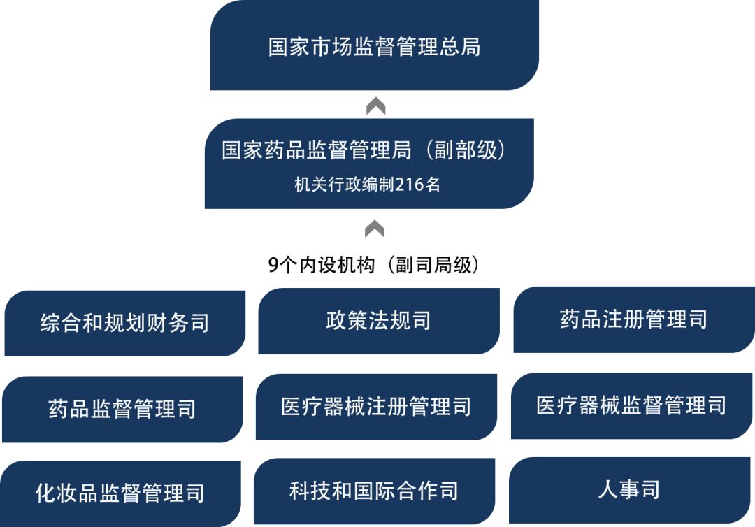 上海卫健委领导分工及职能概览