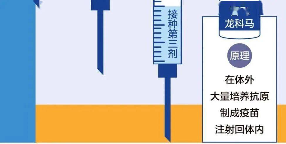 石家庄疫苗接种，北京生物的担当与力量展现