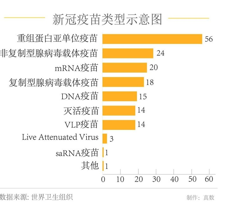 西宁疫苗之光，疫苗种类及其重要性探索
