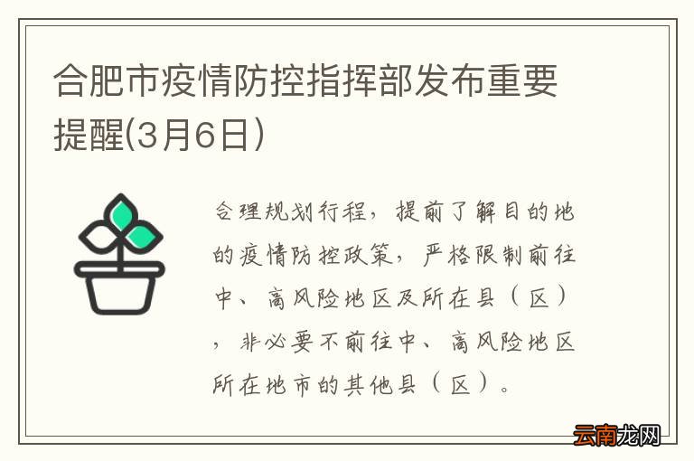 河南省疫情指挥部通告与合肥最新动态概览