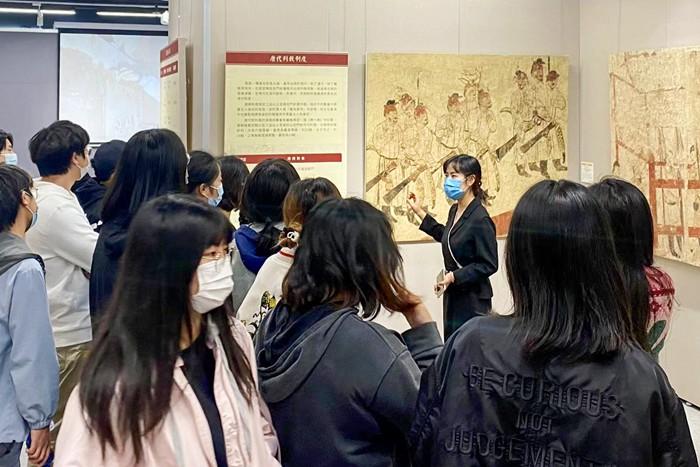 澳门与陕西疫情最新动态，防控形势分析与展望
