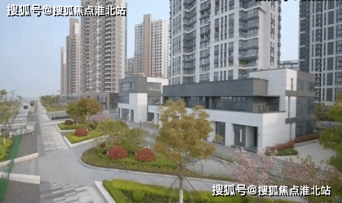 黑龙江省疫情最新概况深度分析