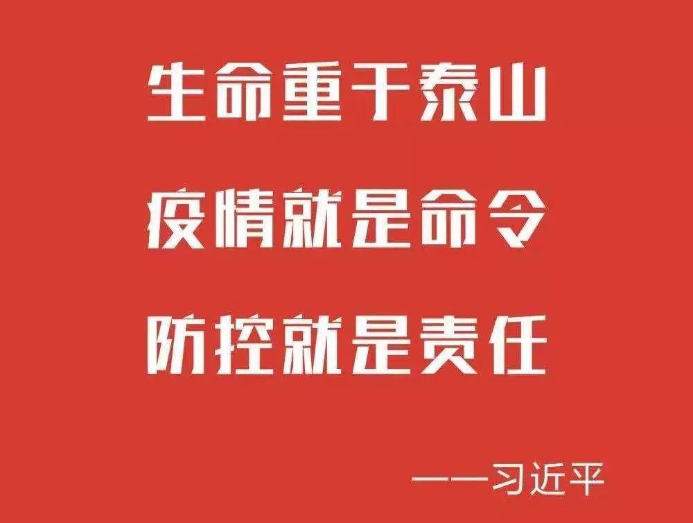 黑龙江省疫情应对通知，共克时艰，全力抗击疫情
