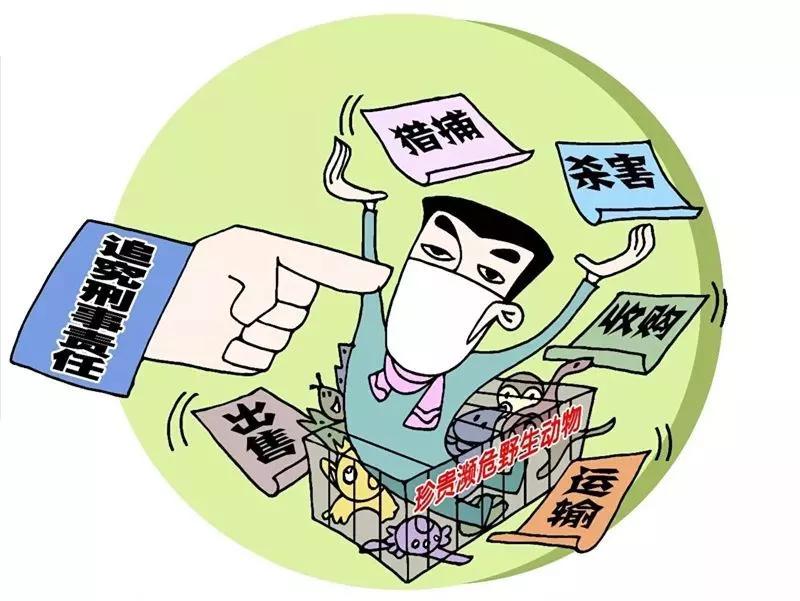 黑龙江省与北京疫情动态更新，携手共筑防线，守护家园安全