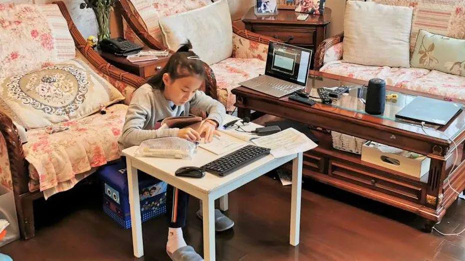 疫情下的家教生活新篇章，挑战与机遇并存