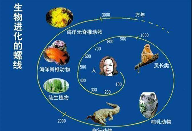 疫情消停之路，人类与病毒的博弈