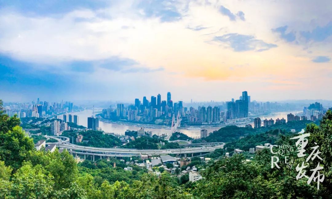 重庆疫情最新动态解读，聚焦2024年疫情发展分析
