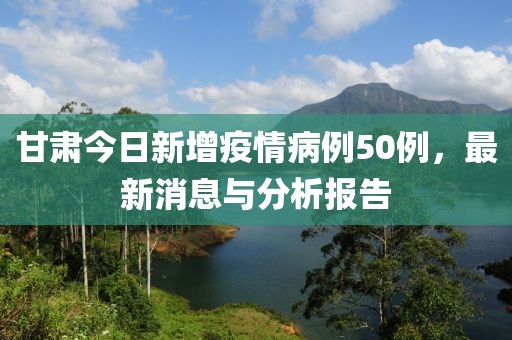 甘肃疫情最新动态，新增病例及其影响分析