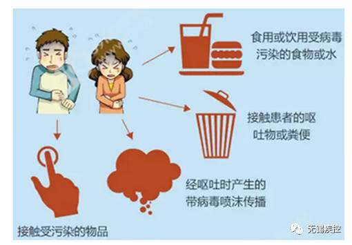 武汉疫情病毒爆发深度探究，原因、影响与反思