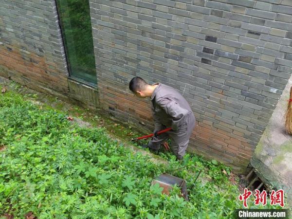 教程辅助“哥哥跑得快是不是真的有挂”其实确实有挂