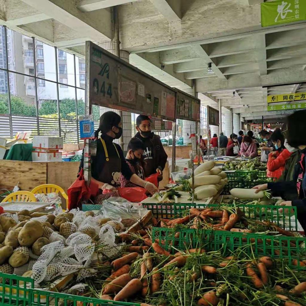 海南疫情封城时间解析，最新动态与应对措施