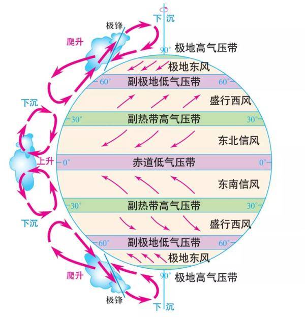 疫情起源时间与地点深度探究