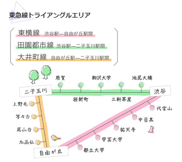 疫情起源时间与地点深度探究