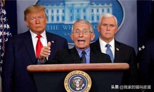 中国三年疫情死亡率分析报告
