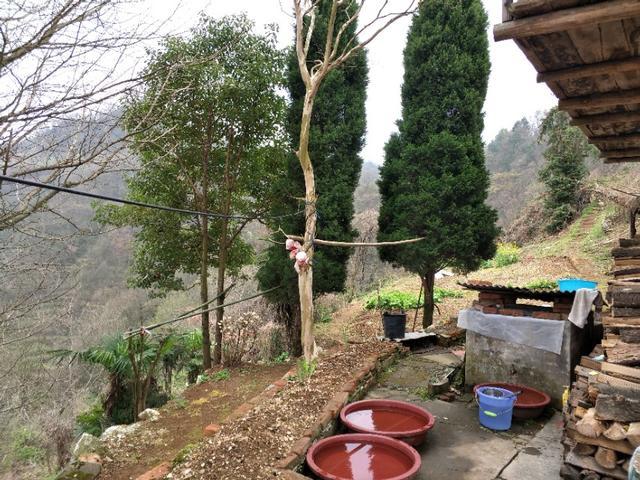 疫情解封时刻，回顾过去，展望未来