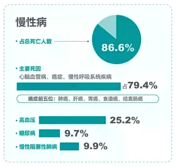 中国疫情期间死亡人数最新报告，全面分析与解读