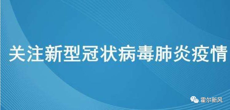 全球面临的第二次疫情病毒名称揭秘及其挑战应对