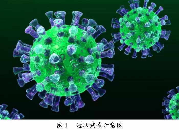 河北省疫情新动态，坚定信心，科学防控