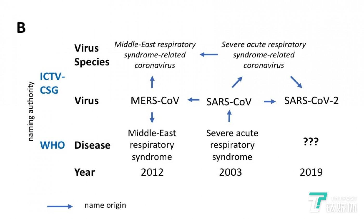 新冠病毒，全球的挑战与反思——SARS-CoV-2的启示