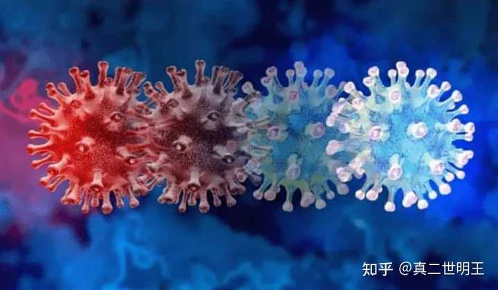 疫情病毒，形态特征、影响及探究