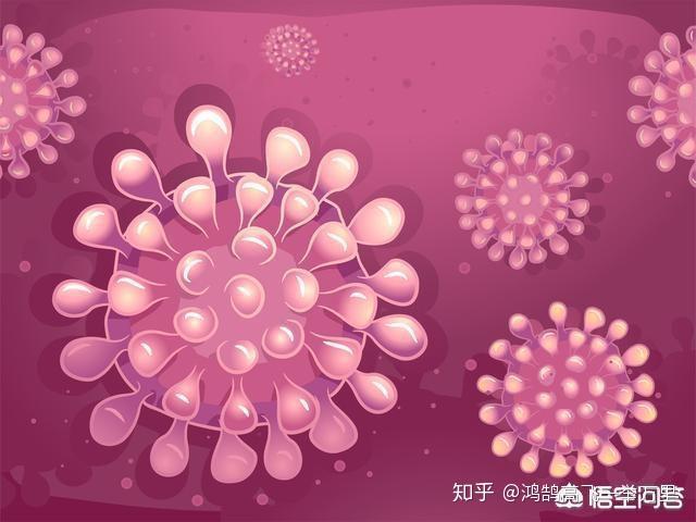 疫情背景下新型冠状病毒深度解析