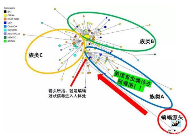 疫情病毒名字顺序，全球挑战与反思