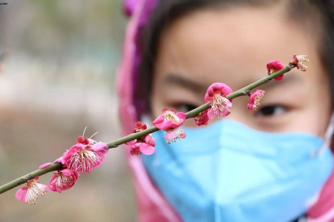 疫情解除的期盼，春暖花开的到来时刻探索