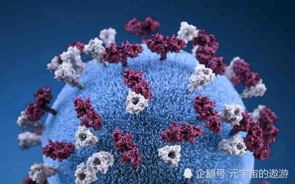疫情与病毒，揭开名称背后的真相