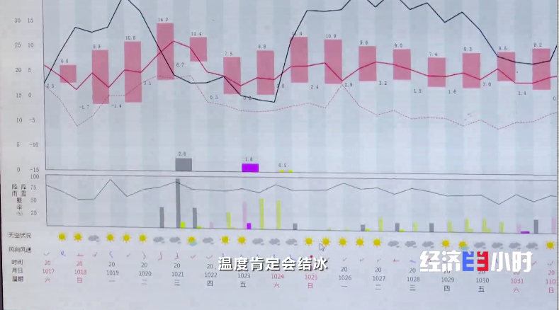 疫情时间跨度及其深远影响概览