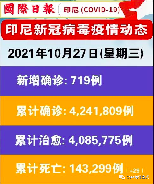 新冠疫情起因探究，揭秘病毒源头与传播路径