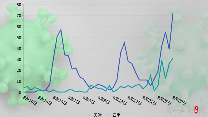 上海疫情揭秘，起源、回顾与反思