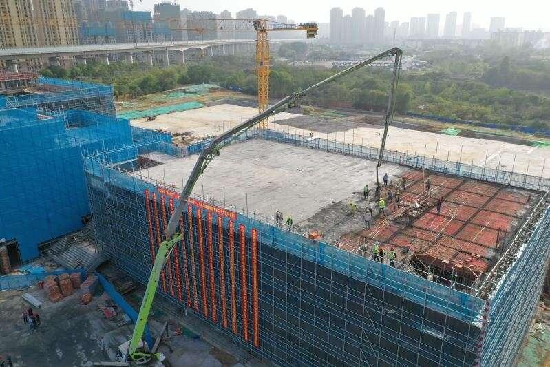 疫情爆发始年的探究与解析