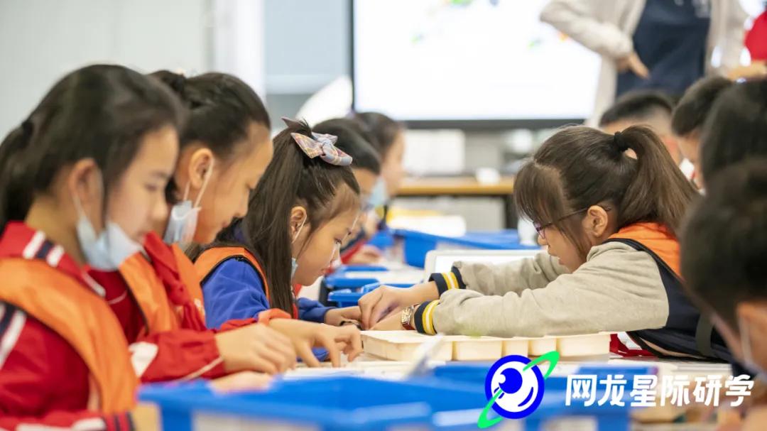 疫情爆发始年的探究与解析