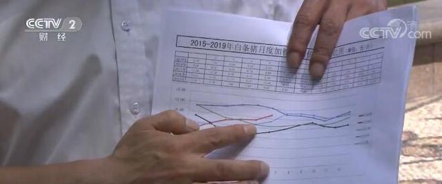 疫情来袭回顾与反思，疫情起始年份探究