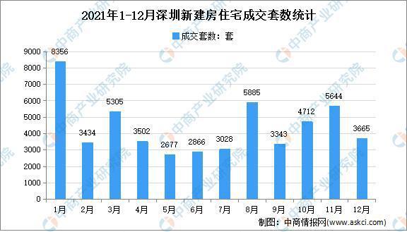 深圳疫情起始时间及影响分析概述