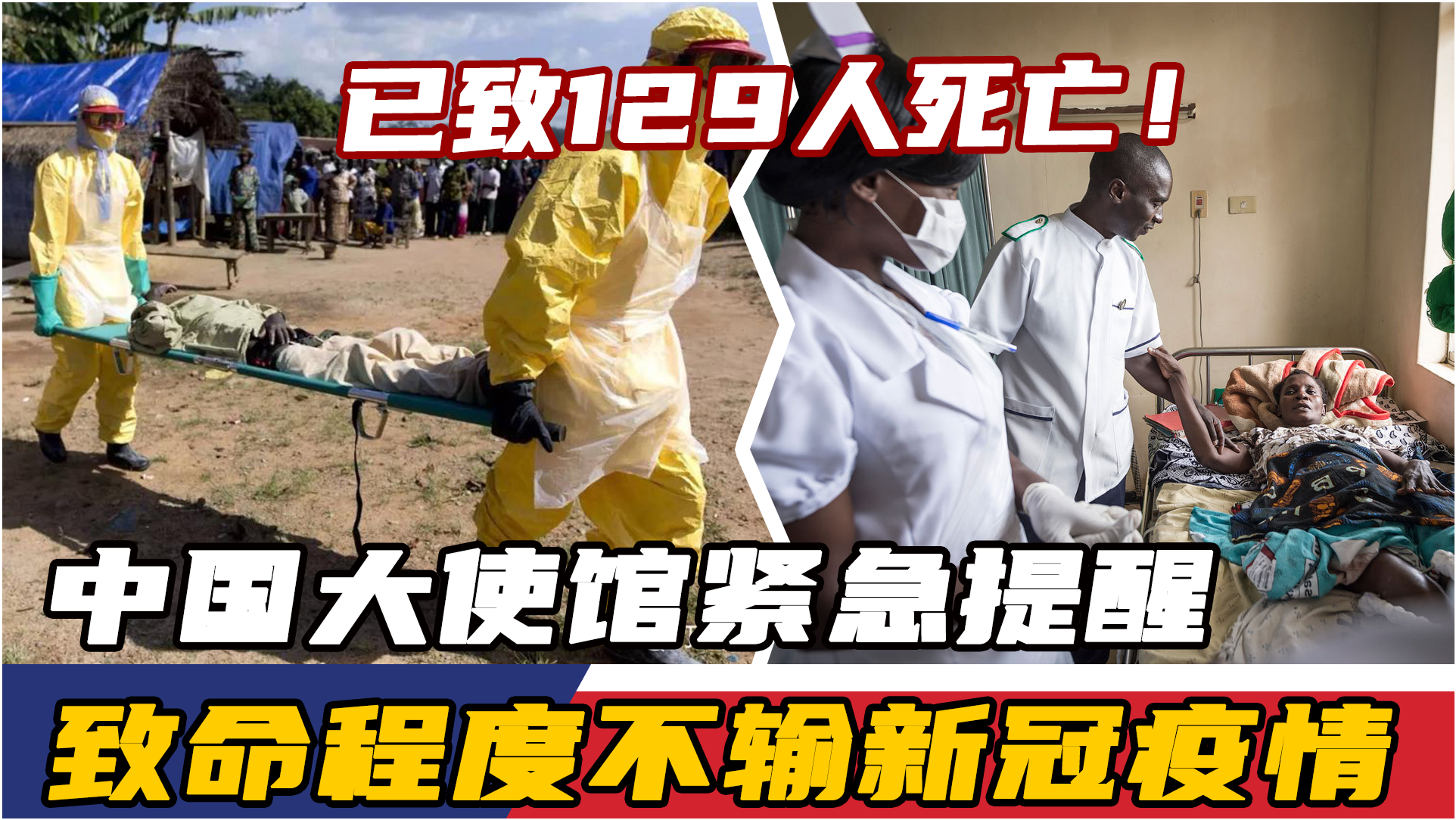 中国新冠疫情死亡总人数及其深远影响