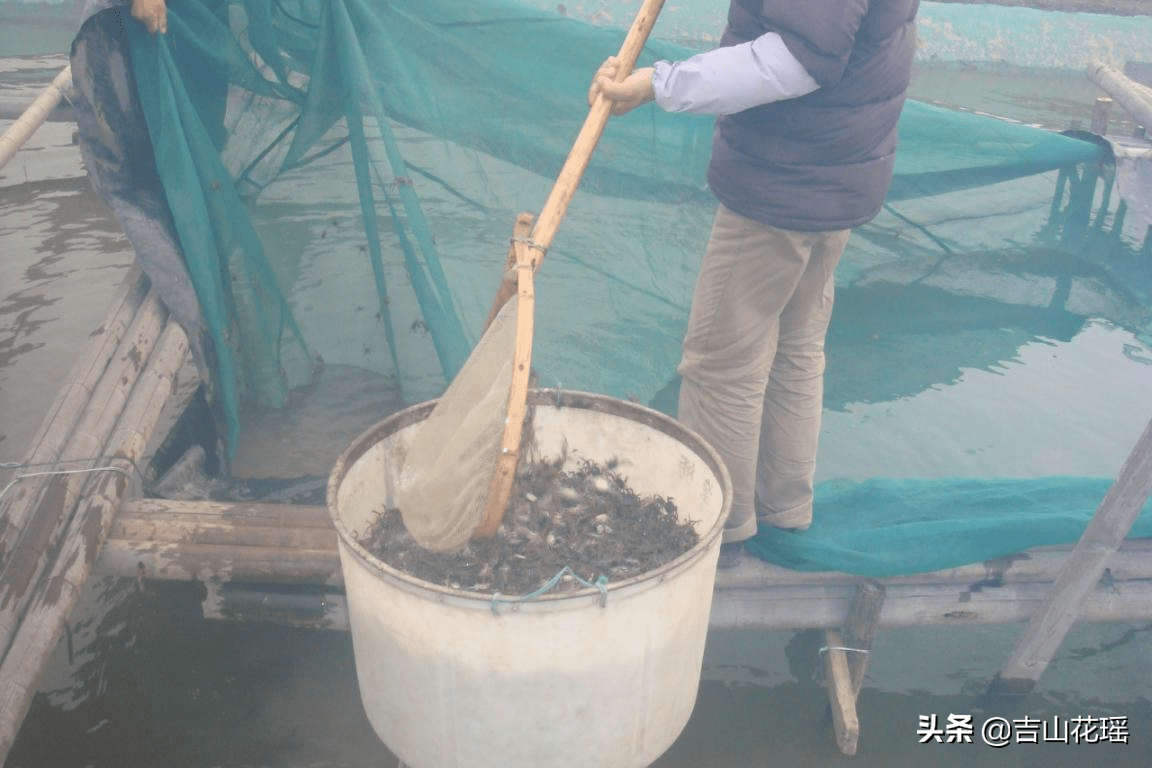 疫情之下中国人的生命损失与应对策略