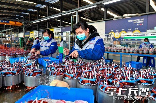 疫情时间线梳理，回顾与反思2020年抗击疫情之路