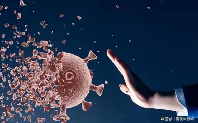 疫情之下，人类与病毒的较量何时休止？
