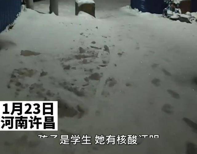 宣化疫情解封，希望与重生的交汇时刻