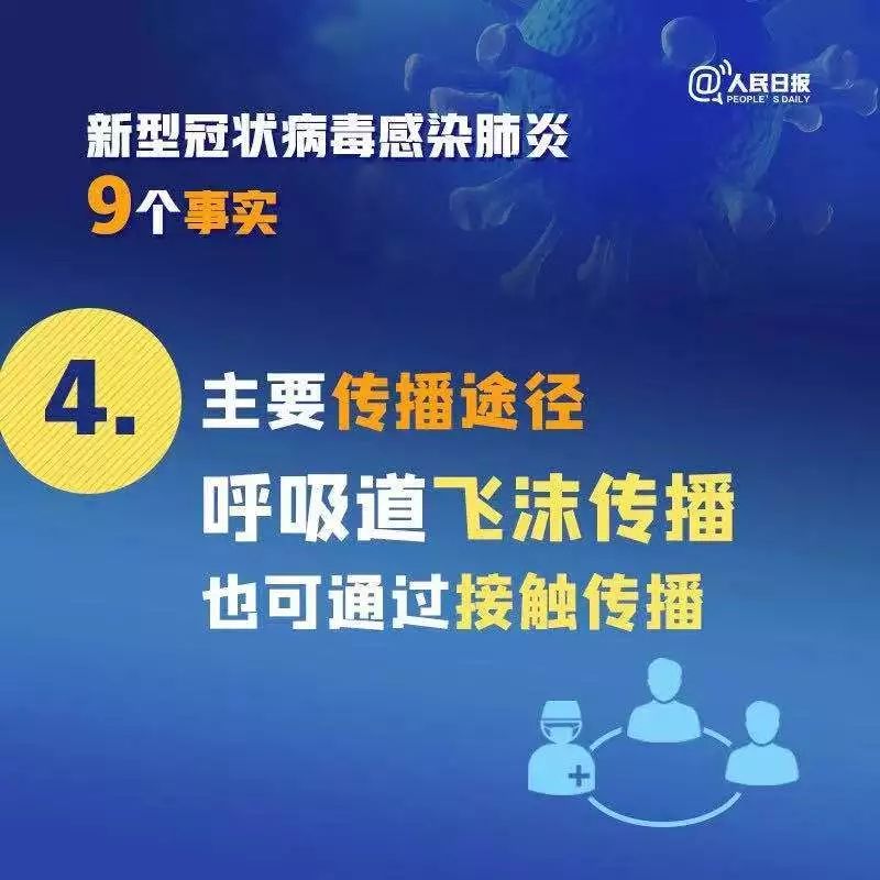新型冠状病毒疫情溯源，回顾与反思