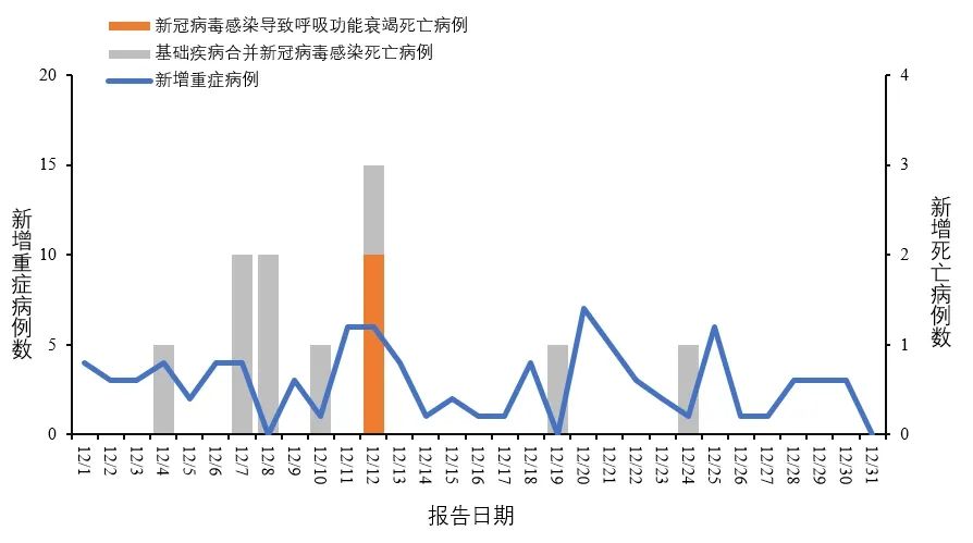 新冠疫情开始日期及其深远影响